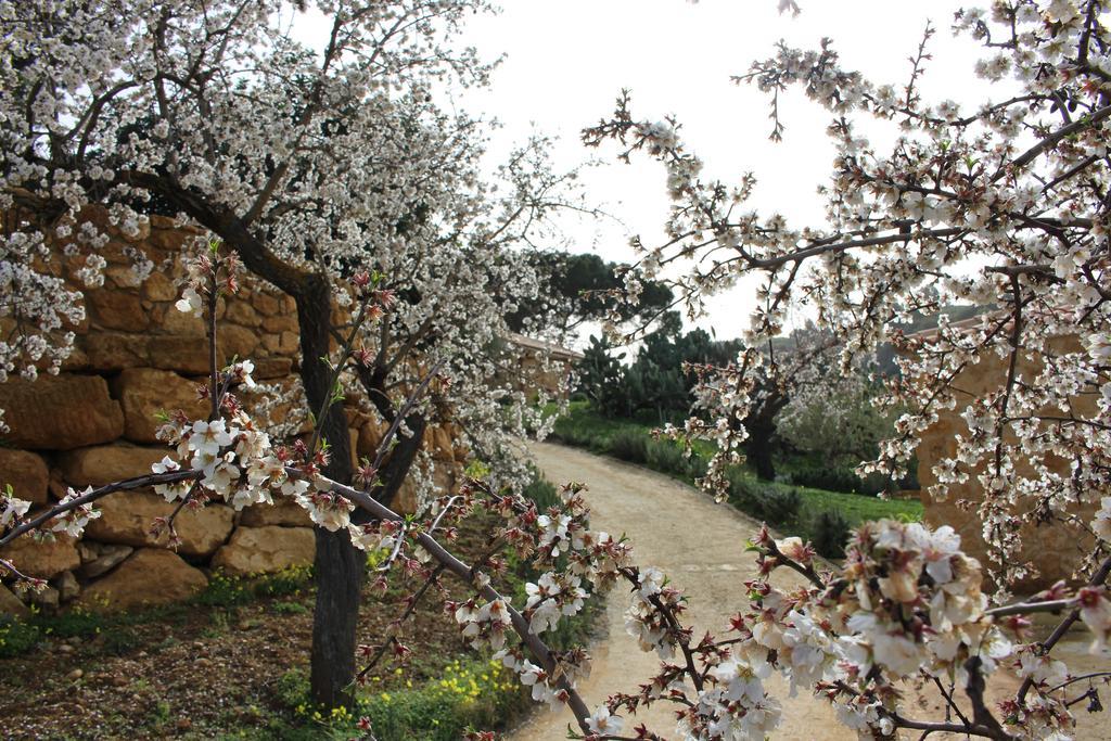 Aragona Agriturismo Feudo Muxarello מראה חיצוני תמונה