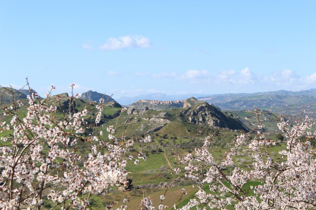 הוילה Aragona Agriturismo Feudo Muxarello מראה חיצוני תמונה