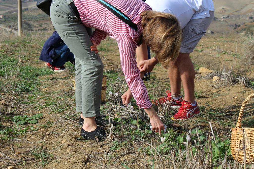 הוילה Aragona Agriturismo Feudo Muxarello מראה חיצוני תמונה